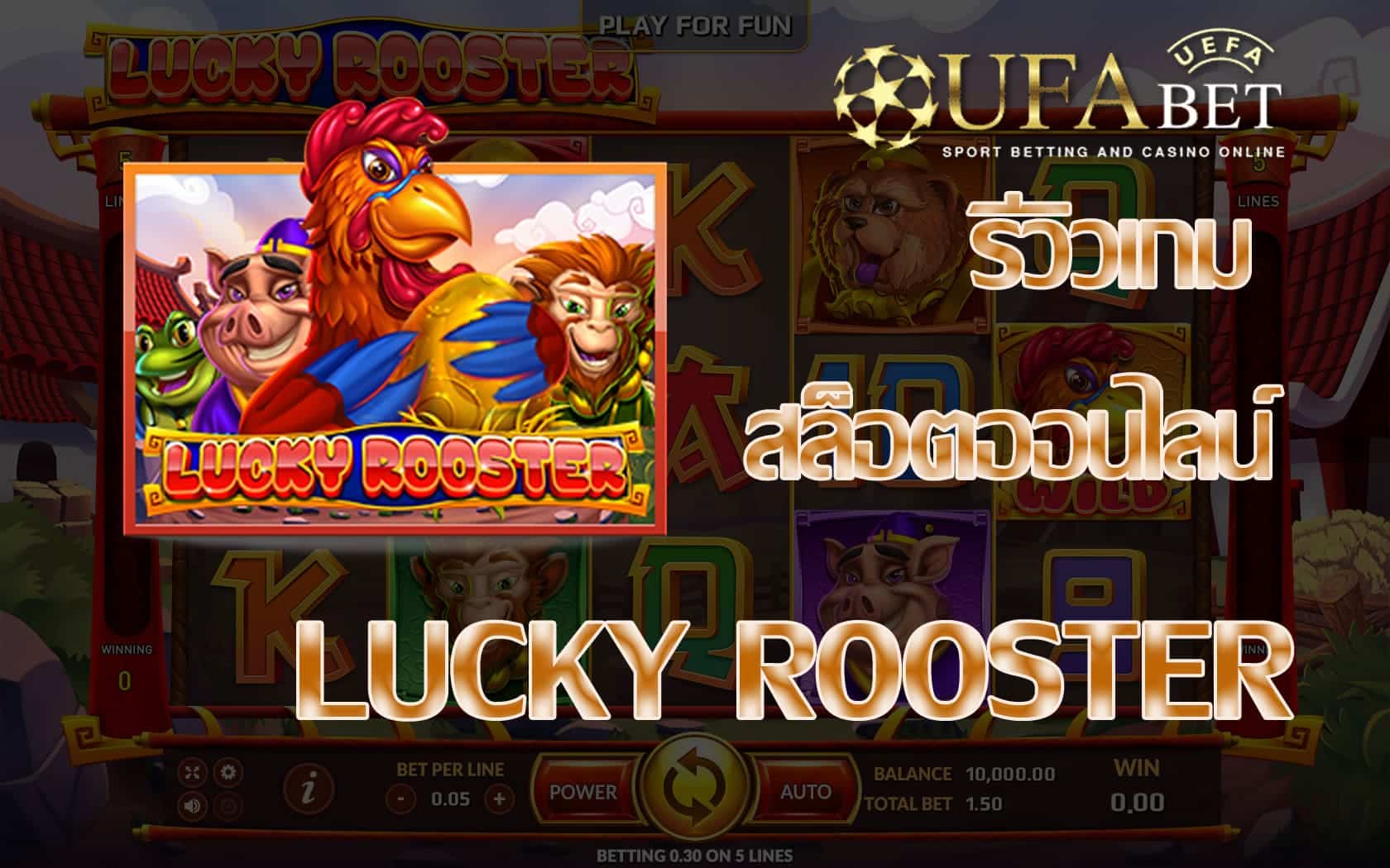 LUCKY ROOSTER รีวิวเกมสล็อตออนไลน์ยอดนิยมอันดับ 1 l UFABET AUTO