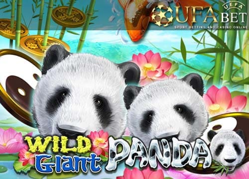 Wild Giant Panda-ทดลองเล่น