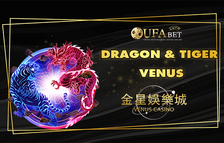 Venus-casino-dragon